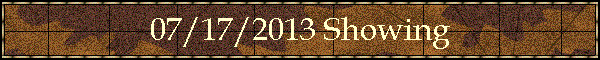 07/17/2013 Showing