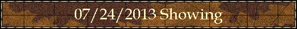 07/24/2013 Showing
