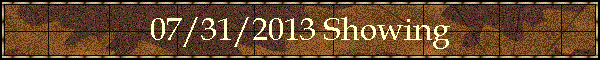 07/31/2013 Showing