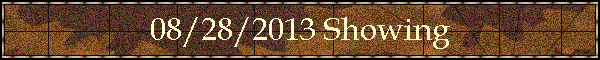 08/28/2013 Showing