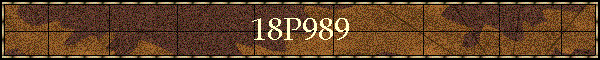 18P989