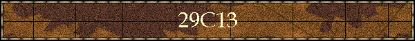 29C13