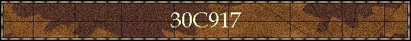30C917
