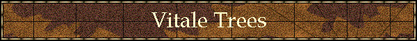 Vitale Trees
